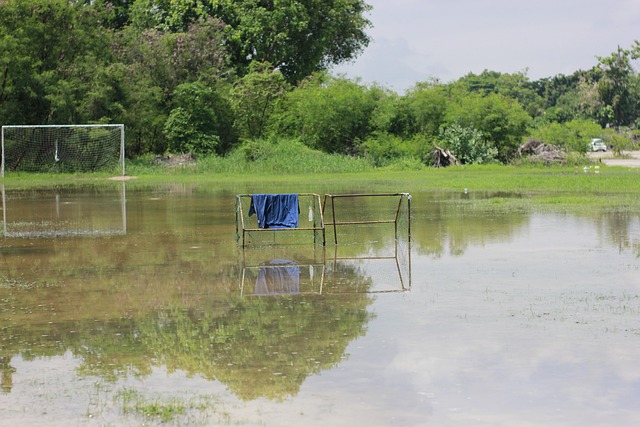 另一个半球的思念，奥斯卡晒出在家观看海港亚冠比赛照片